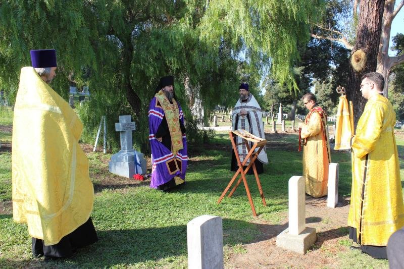 Религиозная церемония на кладбище под деревьями